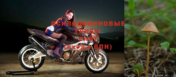 COCAINE Абаза